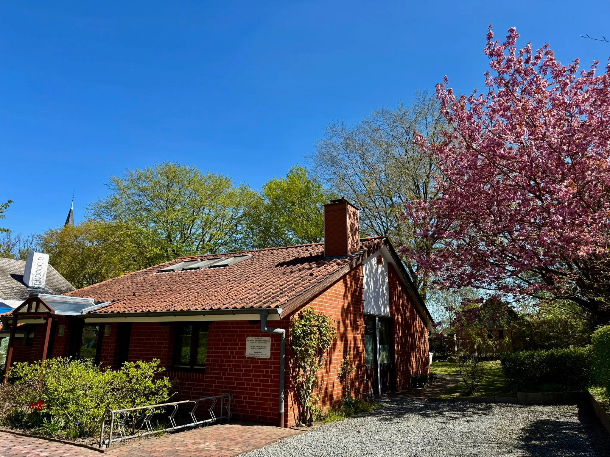 Praxisgebäude der Arztpraxis Hansühn: Backsteinhaus mit blühender Zierkirsche im Frühling